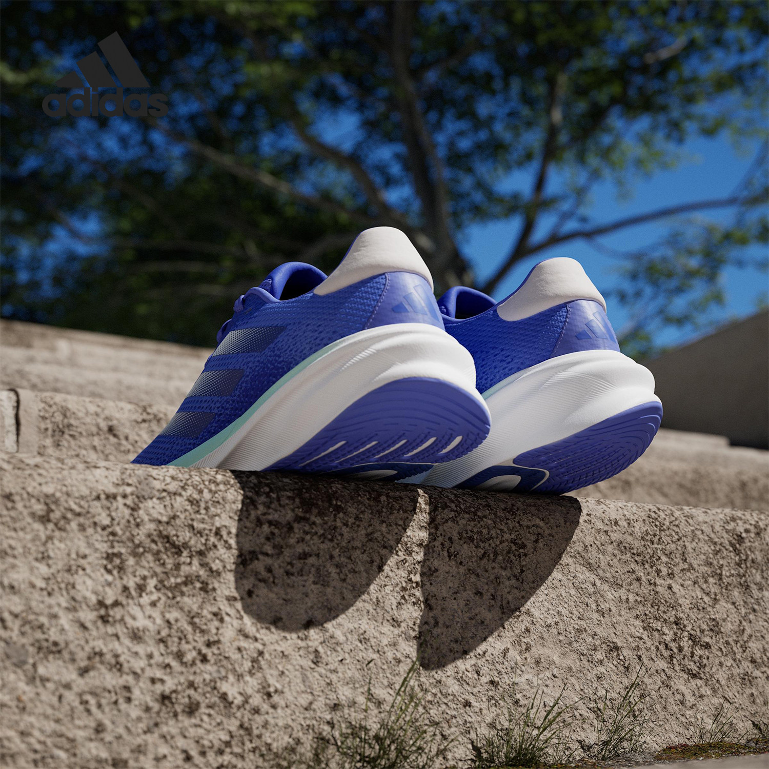 Adidas/阿迪达斯正品SUPERNOVA STRIDE男士缓震跑步鞋ID3692