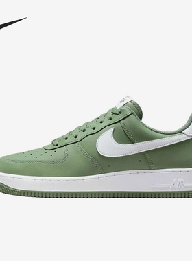 Nike/耐克正品2025秋季款男士日常低帮系带透气板鞋FJ4146-301