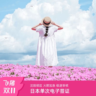 日本单次旅游签证沈阳送签