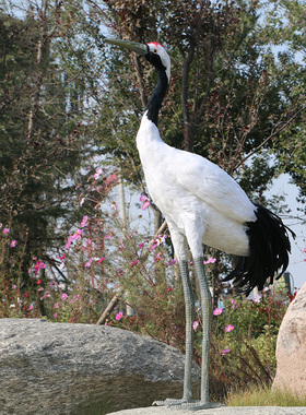 仿真丹顶鹤道具羽毛丹顶鹤黑颈鹤园林景观鸟花园V装饰丹顶鹤摆件