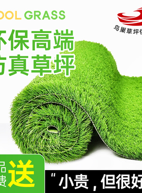 COOLGRASS仿真草坪人工草皮人造假草坪地毯仿真塑料草坪铺垫高端