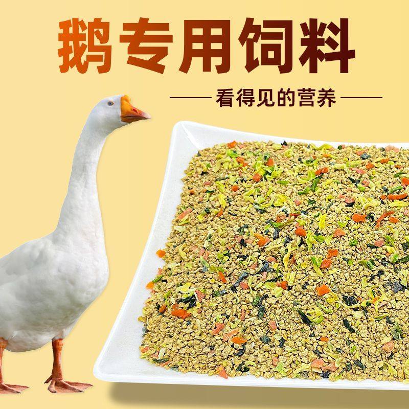 鹅果蔬饲料鹅粮大鹅育肥鹅蛋鹅小鹅鹅苗雏鹅家庭养殖适口性好批发,畜牧/养殖物资,畜牧/养殖饲料,淘宝优惠券,粉丝福利购,淘宝优惠卷