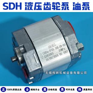 F10.16 75L1B 10.25 BA微型高压油泵 10.38 SDH液压齿轮泵CBDa