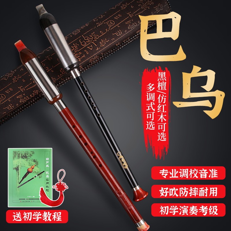 速发黑檀巴乌小学生巴乌竖吹F调C调调专业演奏单管巴乌送盒子