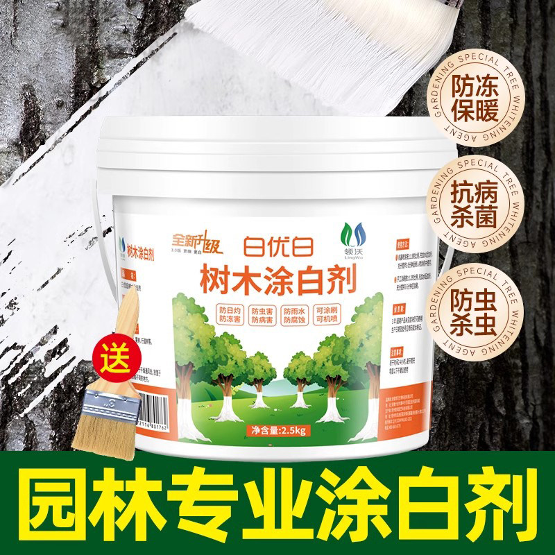 速发大树涂白粉园林专用石灰剂刷干树涂白粉果树防虫越冬防腐防冻