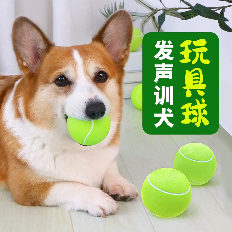 速发玩具耐具球解闷神器磨牙耐咬声嗨柯基泰迪幼犬发自玩咬球