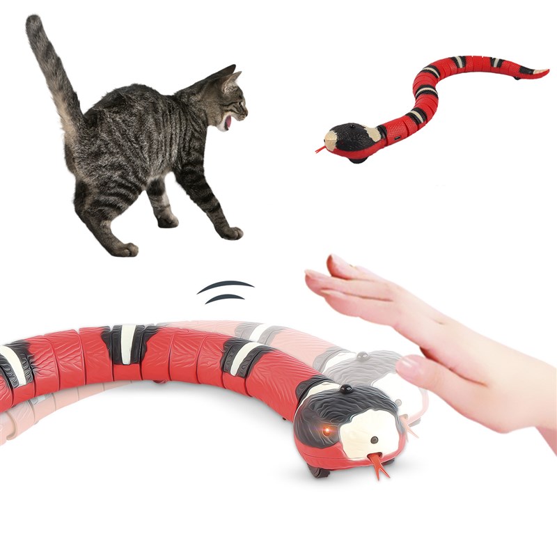 速发serig Pl  Rechgble e ys  s Dogs Pet