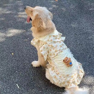 速发衣萨金毛拉布拉多服摩中边牧耶型大型犬大狗超萌碎花