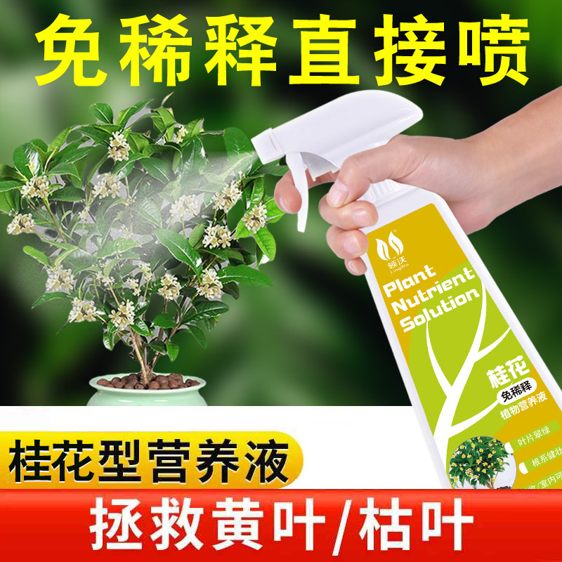 速发免稀释桂花花料桂花用专树肥营养液家用盆栽养肥绿植通用型肥