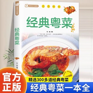 经典粤菜食谱大全煲汤书炖品食谱大全养生汤营养炖汤食谱家常小炒烹饪 经典做菜食谱烹饪教程 新手学厨师书家用美食名厨菜谱书籍