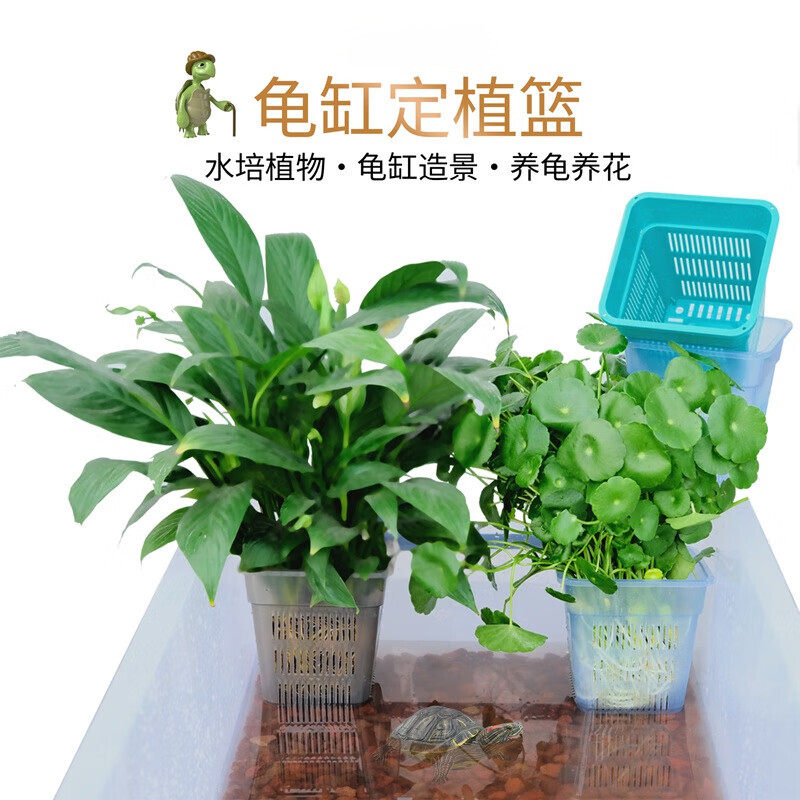 鱼缸水草种植杯透明控根盆植物固定篮龟缸造景装饰配件水培定植篮