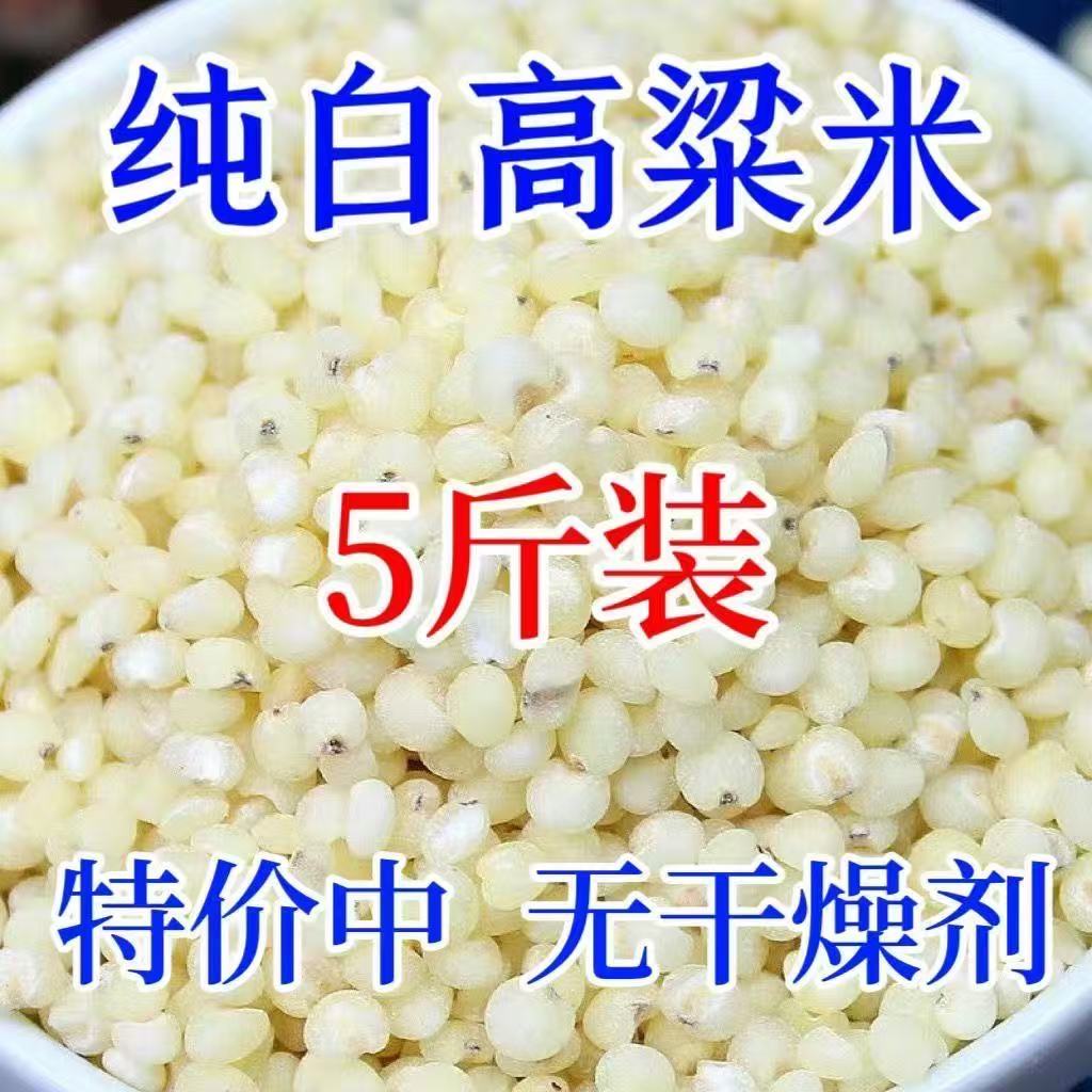 正品白高粮去皮高粱米正宗大米新