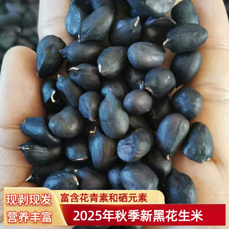 新货富硒黑花生米晒干原味生的小颗粒黑皮花生籽云南普洱黑花生仁