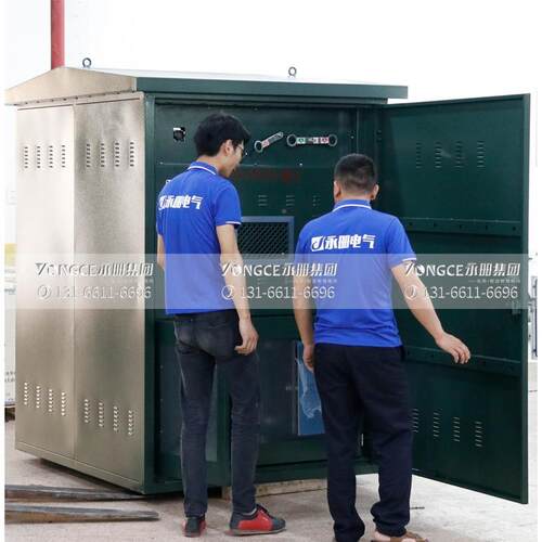 KV1户外落地式计量箱ZW320落地式看门狗预付费智能真意向金空断路