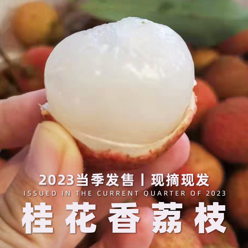 当季现摘荔枝丨桂花香味新鲜5斤当季水果笑妃子海南整箱顺丰空运