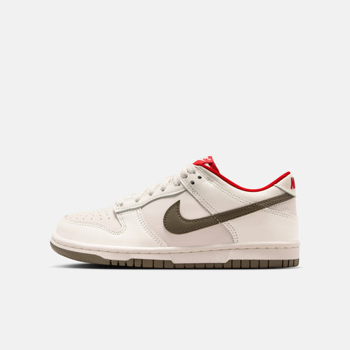 NIKE耐克大童NIKE DUNK LOW (GS)运动休闲鞋IQ9793-020