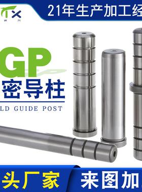 模具配件导柱卸料板带肩内导柱精密GP直身导向柱辅助SGON导柱