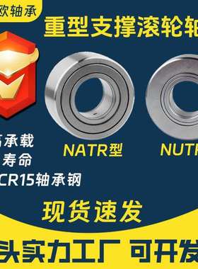 重型支撑滚轮轴承NATR NUTR 5 6 8 10 12 15 17 20 25 30 35 40PP