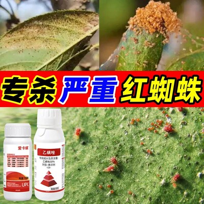 红蜘蛛专用药爱卡螨金满枝阿维哒螨灵联苯肼酯乙螨唑杀虫杀螨组合
