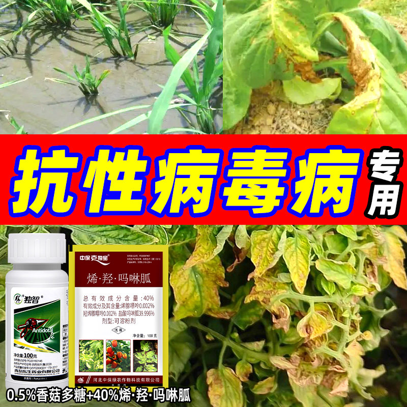 病毒病专用克毒宝独烯羟吗啉胍香菇多糖番茄抗性病毒病杀菌剂组合图片