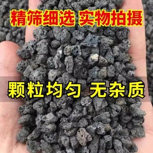 微酸矿物岩颗粒土养花专用小石子兰花铺面天然黑色火山石酸性盐土