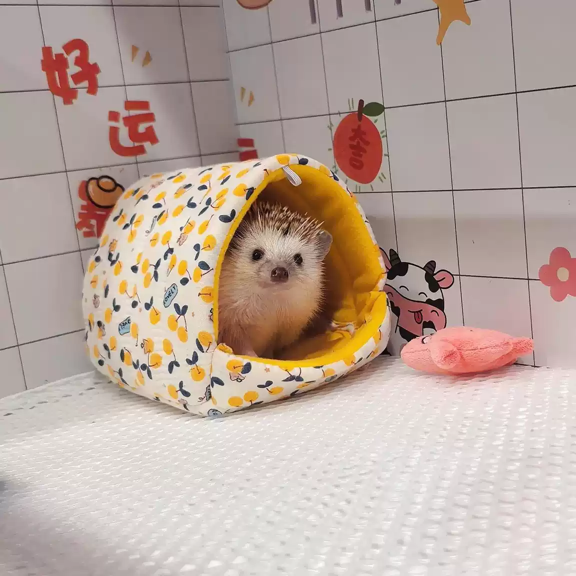 刺猬仓鼠躲避屋过冬棉窝蜜袋鼯