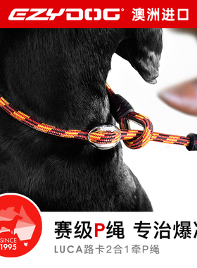 EzyDog澳洲进口牵引P绳防爆冲牵引绳金毛大小型犬外出训练遛狗绳