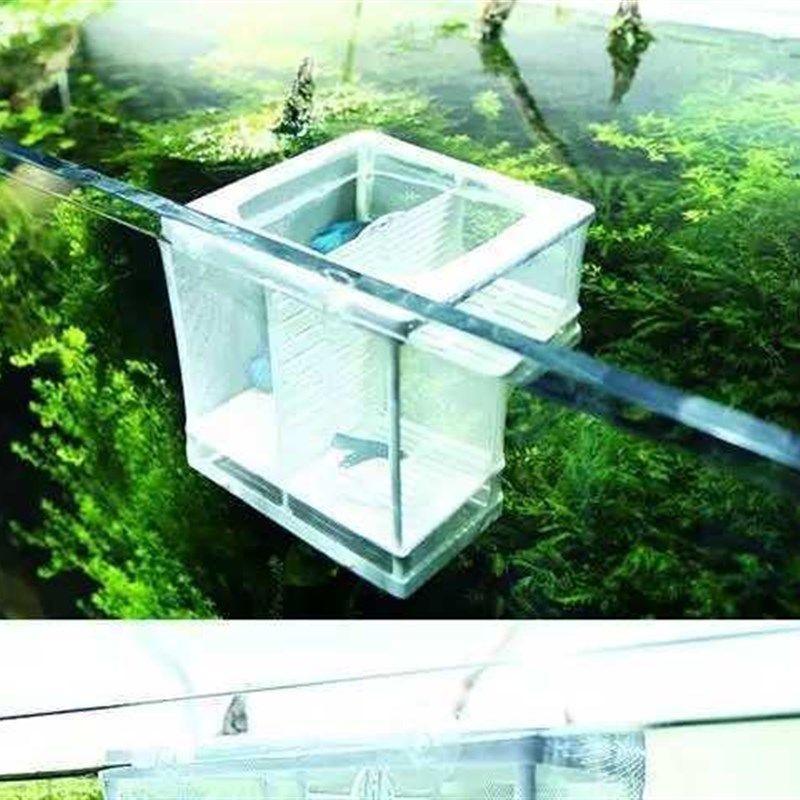 鱼缸隔离网多功能布料细悬浮式孔雀斗鱼护栏有隔板