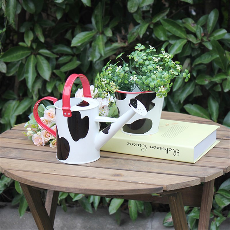 1升儿童可爱沙滩玩具过家家水壶卡通浇花浇菜洒水壶铁皮浇水喷壶