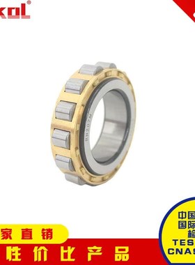 ZOKOL减速机轴承RN 204 205 206 207 219 222 228 M 铜架好耐磨