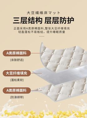 床垫软垫家用卧室薄防款滑垫被褥宿SY202303子学舍生单双人榻榻米