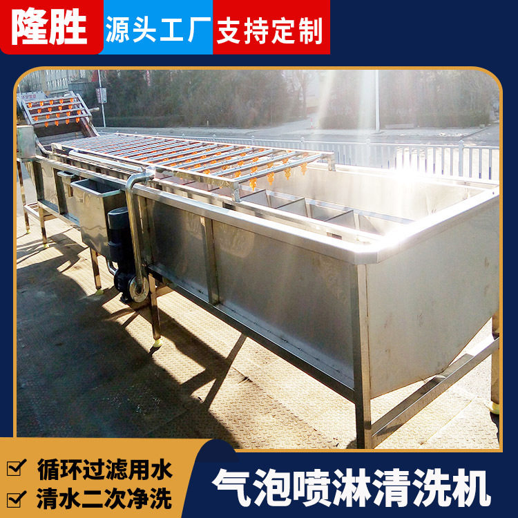 大型全自动不锈钢果蔬清洗机