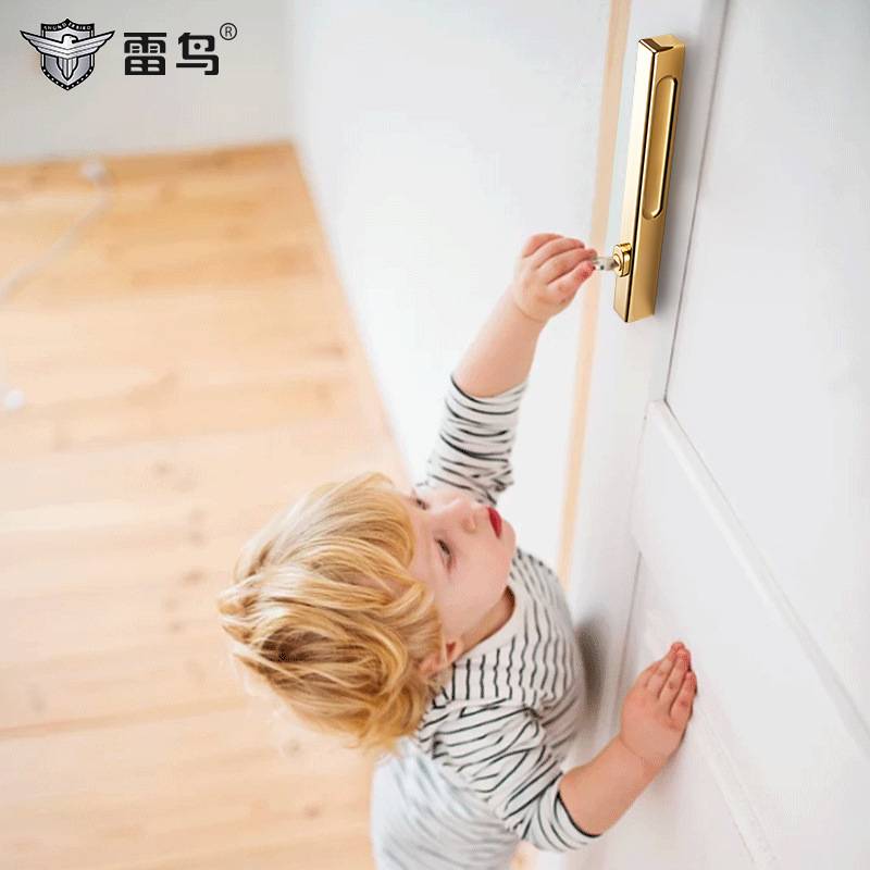 雷鸟推拉门锁磁吸黑色室内卧室房门锁双面隐形直推极窄锁房间门