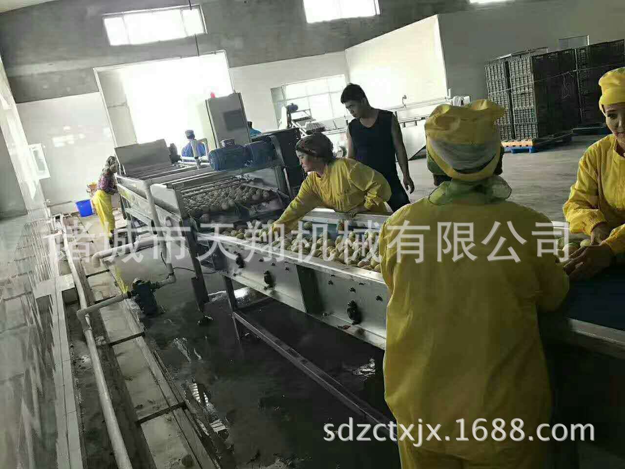 天翔新品推出果蔬清洗漂烫流水线货真价实 客户认定