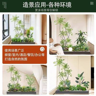 仿真南天竹假绿植造景橱窗高端轻奢室内楼梯下仿生树景观植物装饰