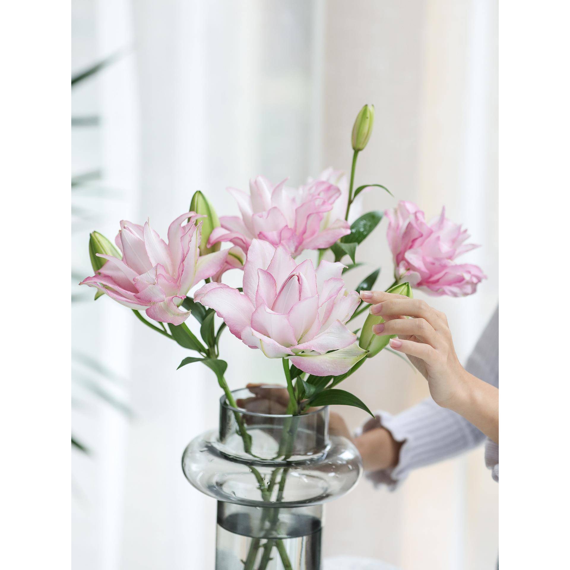 白玫瑰鲜花云南直发重瓣百合花顺丰空运包邮A级百合水养厂家直销