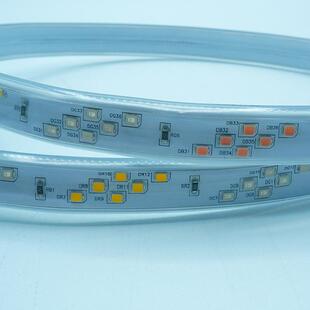 rgb灯带防水220v彩538492050条光流幻水霓虹led追灯跑马灯遥控可