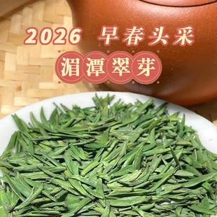 【贵州特产】早春雀舌绿茶2026新茶茶叶正宗嫩芽湄潭翠芽