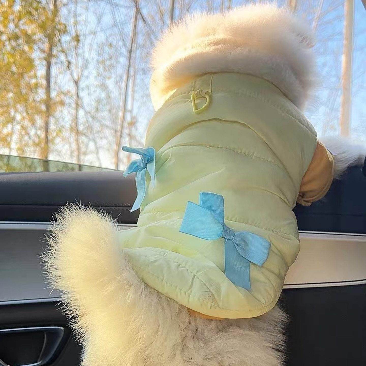 小体博美专用衣服吉娃娃小鹿犬狗狗羽绒马甲秋冬季装冬天棉服棉衣