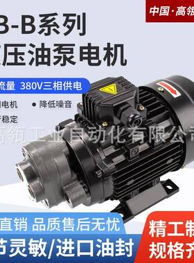 液压齿轮油泵CB-B4/B6/B10/B2.5/B16/B20/25/B32三角机润滑油泵头