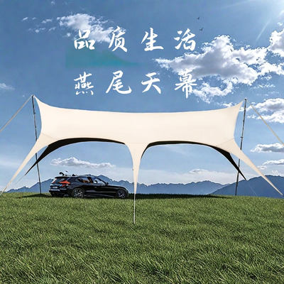 黑胶天幕八爪鱼大号遮阳防晒