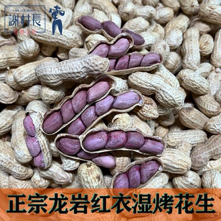 【谢村长】龙岩湿烤花生连城红衣湿烤花生水煮白晒四粒红五香花生