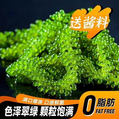 爆浆海葡萄新鲜可食用即食海葡萄可吃儿童食品级100g官方旗舰店