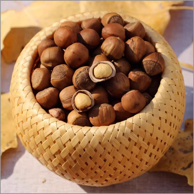 新鲜开口野生大榛子东北特产薄皮炒熟原味坚果零食袋装美味可口,零食/坚果/特产,榛子,淘宝优惠券,粉丝福利购,淘宝优惠卷