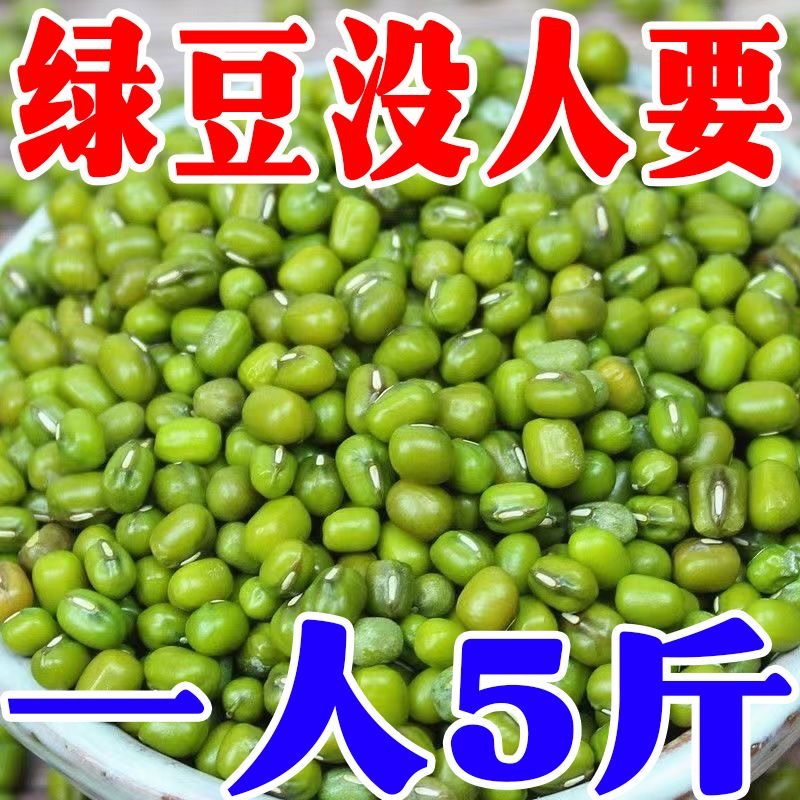 【特价抢购】新货农家绿豆新鲜发芽绿豆糕五谷杂粮豆芽解暑绿豆汤