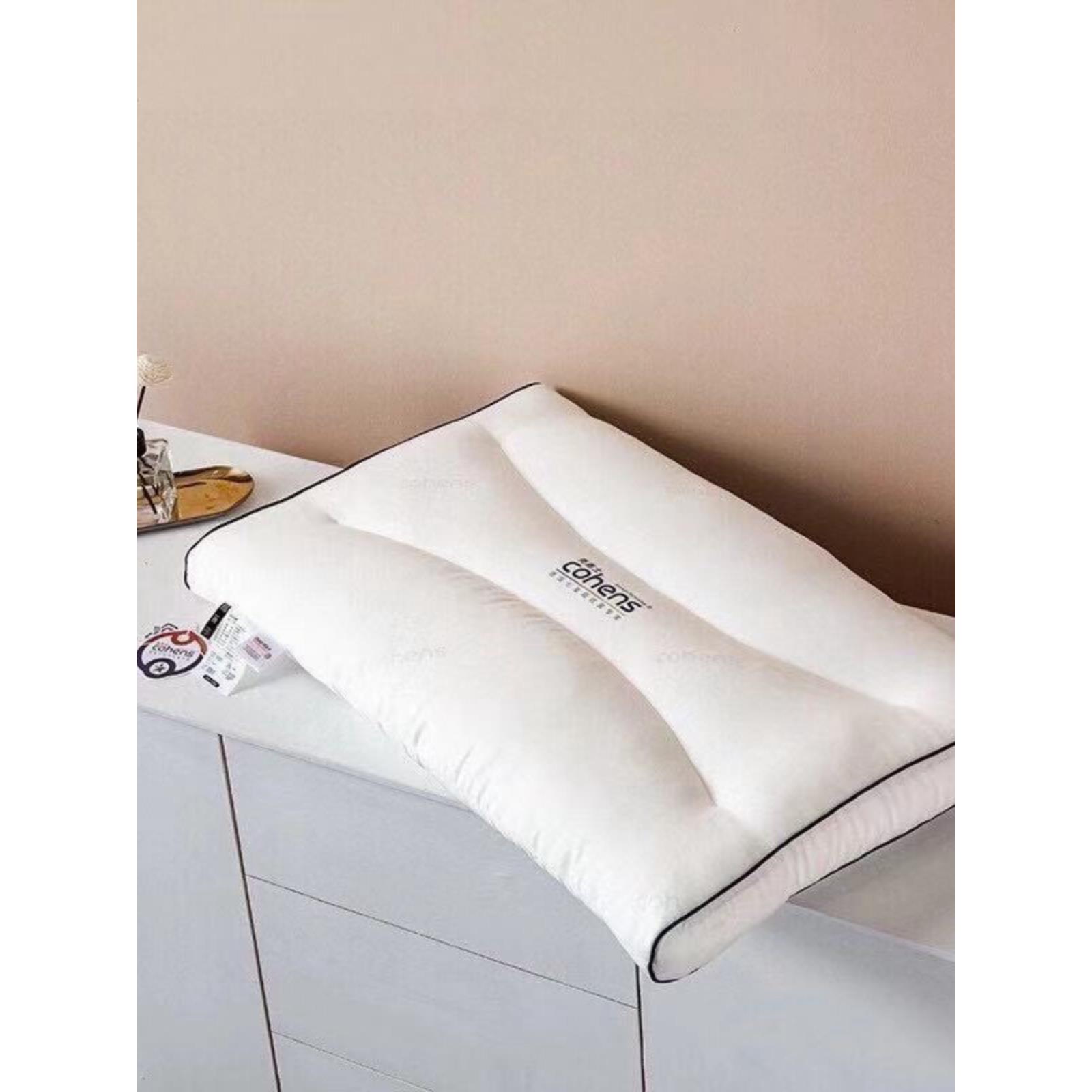 晚安控制台的新壳恩施抗菌防螨羽绒枕头，双枕芯，可洗，强保护枕