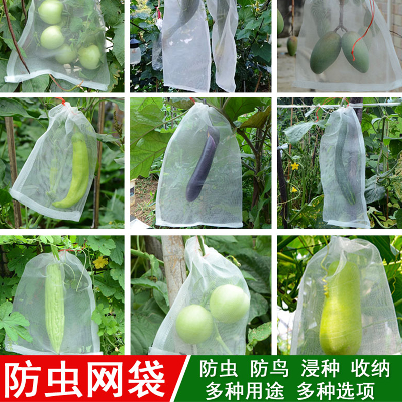 防虫网袋草莓防果蝇防鸟网防虫果树袋葡萄套袋专用无花果防鸟神器