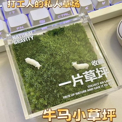 手里有块地牛马私人草坪工位桌面绿植苔藓微景观解压摆件治愈礼物