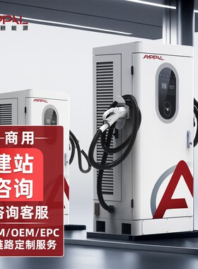 支持EPC总包充电桩源头工厂直流充电桩支持OEM,ODM电动车