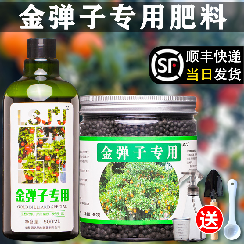 金弹子专用肥营养液有机肥料复合花肥缓释颗粒老鸦柿金弹子盆景肥